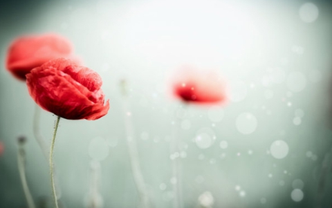 为什么谈恋爱容易感到厌倦(因为渐渐失去新鲜感) 为什么谈恋爱容易感到厌倦(因为渐渐失去新鲜感)