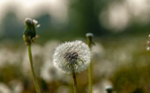 分手后挽回最忌讳什么(最忌讳这三点) 分手后挽回最忌讳什么(最忌讳这三点)