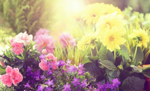 男朋友觉得我拜金要分手(怎么挽回男朋友最有效) 男朋友觉得我拜金要分手(怎么挽回男朋友最有效)