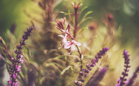 婚姻到了尽头的表现(只要有一条就要注意了) 婚姻到了尽头的表现(只要有一条就要注意了)