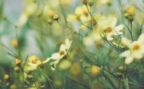 婚姻到了尽头的表现(只要有一条就要注意了) 婚姻到了尽头的表现(只要有一条就要注意了)