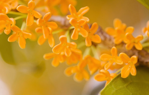 婚姻到了尽头的表现(只要有一条就要注意了) 婚姻到了尽头的表现(只要有一条就要注意了)