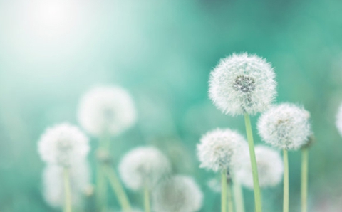 分手了心里特别难受怎么办 方法三超级管用 分手了心里特别难受怎么办 方法三超级管用