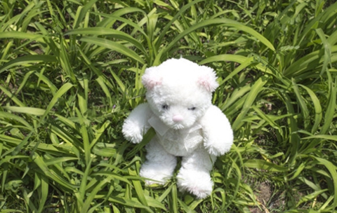 1646970819153991.jpg老公不想碰你六大原因,一篇文章说透所有! 1646970819153991.jpg老公不想碰你六大原因,一篇文章说透所有!