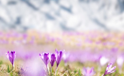 发短信对方不回什么原因(需要了解这五个原因) 发短信对方不回什么原因(需要了解这五个原因)