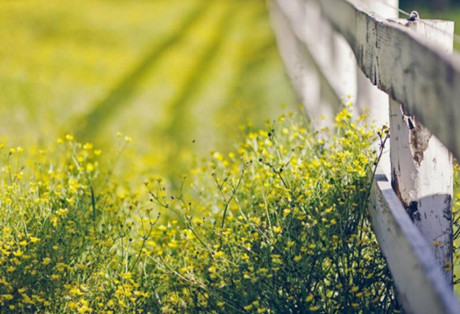 反复拉黑你的人是什么心理(一般是这三种心理) 反复拉黑你的人是什么心理(一般是这三种心理)