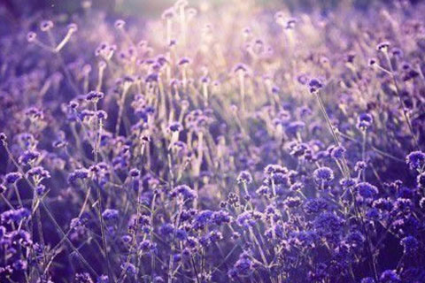 怎么调整心态和情绪(有这5招就够了) 怎么调整心态和情绪(有这5招就够了)