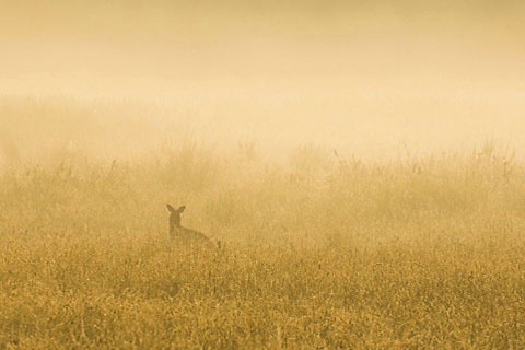 婆婆不会做人十种表现(婆媳矛盾的主要根源) 婆婆不会做人十种表现(婆媳矛盾的主要根源)