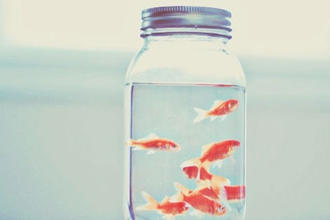 男人凑合过日子的表现(这三点一看便知) 男人凑合过日子的表现(这三点一看便知)