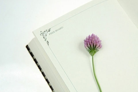 聪明女人三不管六要做 做不好就家败人散 聪明女人三不管六要做 做不好就家败人散