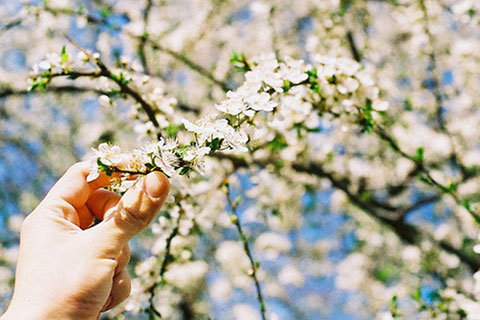 哪种女人最让男人讨厌(这三种女人) 哪种女人最让男人讨厌(这三种女人)