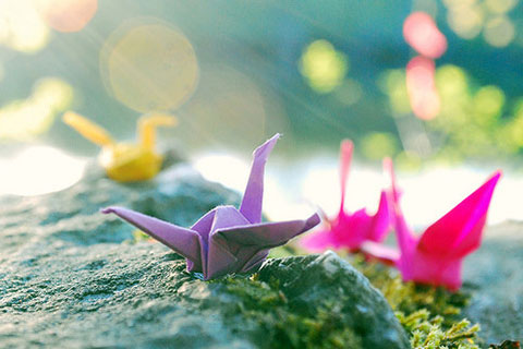 背叛婚姻的男人的下场,下场只有这3种 背叛婚姻的男人的下场,下场只有这3种