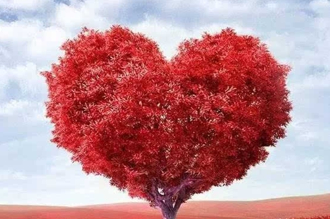 想和前任复合怎么说比较好?四个方法教你打动她 想和前任复合怎么说比较好?四个方法教你打动她