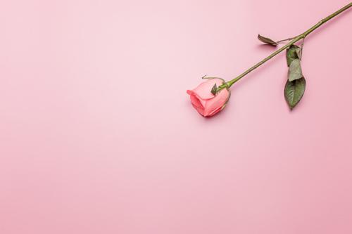 挽回婚姻的经典句子，一句话挽救婚姻