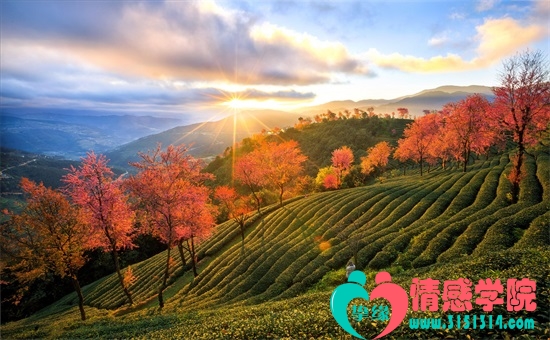 异地恋分手复合的技巧大全，帮你挽回爱情