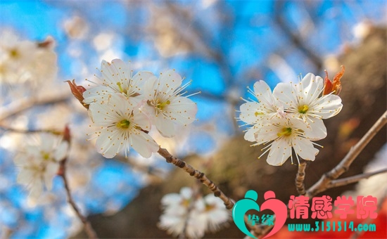 头七如何证明回来过?头七回魂科学解密! 头七如何证明回来过?头七回魂科学解密!