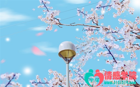 性格强势的女人的表现有哪些？你受得了吗？