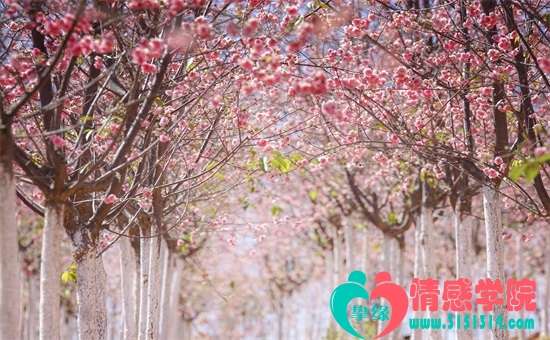 香蜜沉沉烬如霜锦觅的生父是谁？天帝还是水神