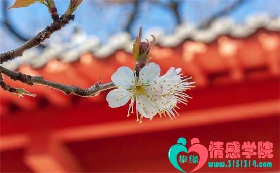 男生很粘人说明什么？ 他对你爱的不可自拔！