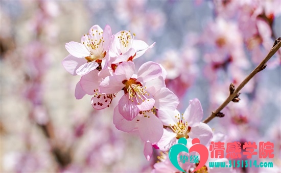 广州剩男越来越多，敢问路在何方？