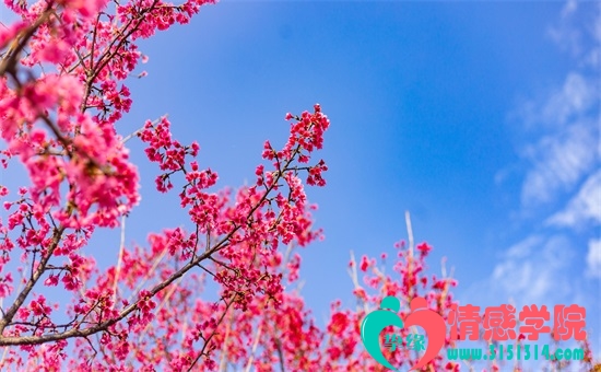 广州婚恋公司哪家好？网站相亲要注意什么？