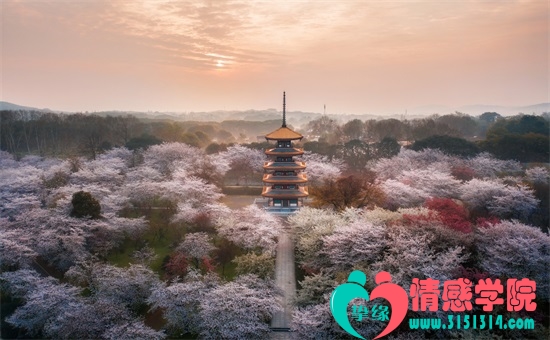 刘亦菲图片素颜照， 仙气十足的裸妆欣赏