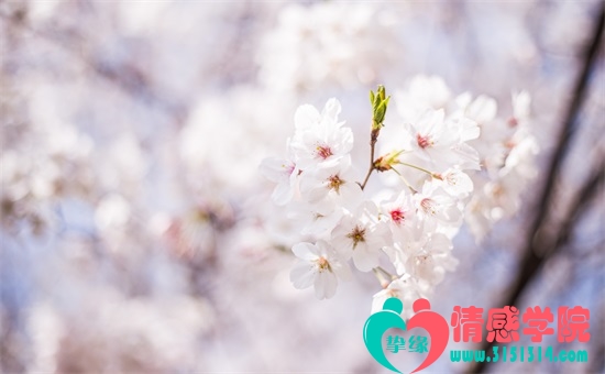 婚姻不好怎么化解?六大方法快来看看 婚姻不好怎么化解?六大方法快来看看