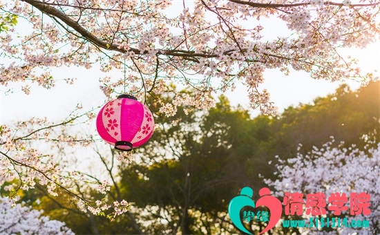 非诚勿扰曾旭君怎么又回来了，非诚勿扰女嘉宾曾旭君和王凯结婚了吗