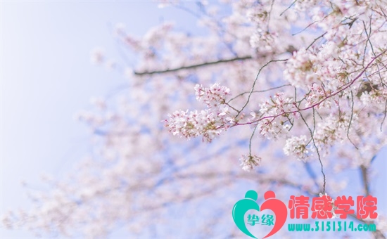 挚缘情感-专注挽救婚姻十余年