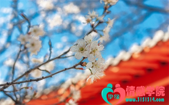 挚缘情感-专注挽救婚姻十余年