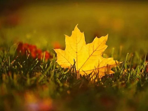 出了轨的女人怎么去挽回婚姻？三点教你挽回他！