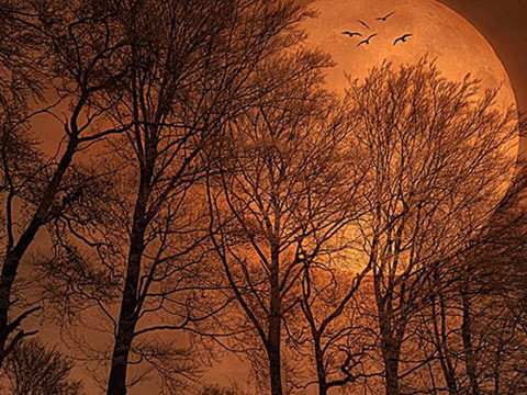 老公出轨不沟通不道歉不表态，他到底在想什么？