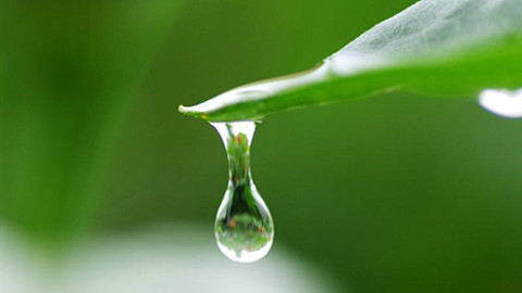 老婆背叛了我出轨我该怎么办？太纠结了