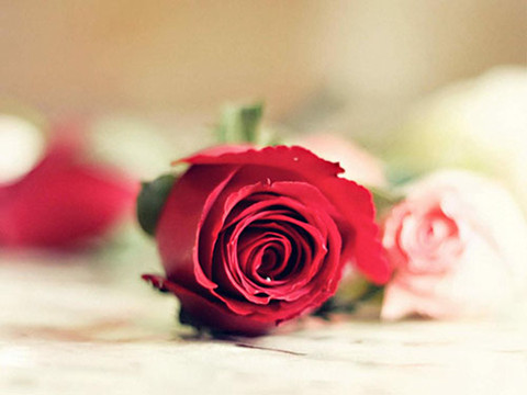 怎么对付小三最致命，只需3招