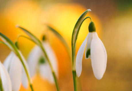 老公出轨该不该离婚 过来人这样说