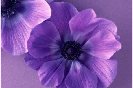 男朋友说想你了怎么回答才幽默？