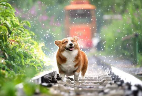 适合下雨天发的朋友圈（适合下雨发的调皮说说）
