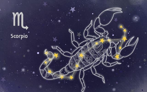 天蝎男会栽在什么星座（谁可以降服天蝎座）