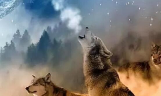 30如狼40如虎是什么意思（或许并不是你想的那样）