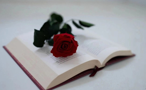 一个离婚女人的忠告（一个离婚女人的四大忠告）