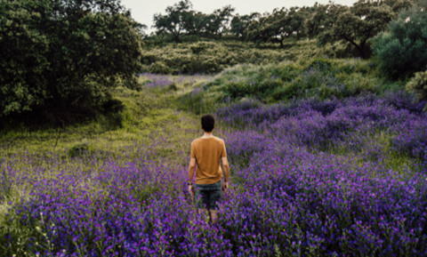 挽回婚姻五大要素（婚姻挽救的五个标准）