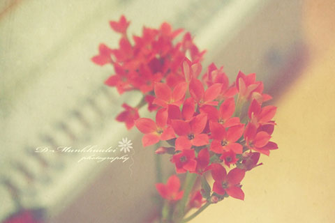 怎么挽回前任的心（四招教你轻松挽回前任）