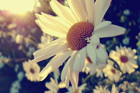 分手了怎样挽回爱情（分手后该怎么挽回）