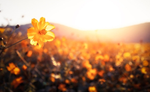让前夫主动复婚的绝招，4个方法挽回前夫