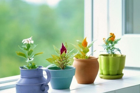 让对方看到忽然心疼的句子（看一次哭一次）