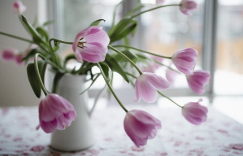 挽回老婆的步骤和方法？做到这几步骤老婆跑不了