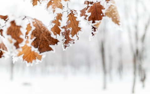 如何挽回婚姻技巧？学会这三招找到幸福的婚姻！