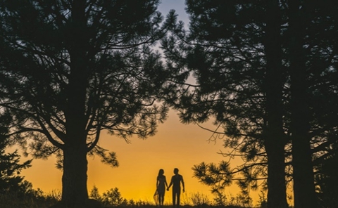 怎样挽回婚姻感情的具体办法？ 三个绝招让挽回婚姻！