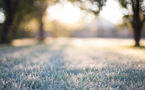 妻子怎么挽回丈夫的心（对方还在犹豫不决时是最好机会）