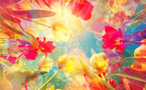 情感挽回的七大技巧（最高效爱情挽回的方法）